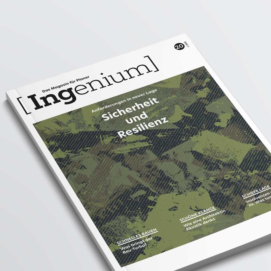 Vorschaubild: INGENIUM Nr. 20